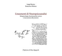 Lineamenti di Neuropsicoanalisi