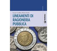Lineamenti di ragioneria pubblica