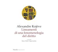 Lineamenti Di Una Fenomenologia Del Diritto - - 2024
