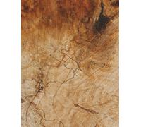 Lined Blank Notebook: Lined Structured Blank Notebook - 120 Pages, 8.5 x 11 inches (21.6 x 27.9 cm), Task Management, Project Tracking, Fitness & Diet Journal, Daily Reflection Log