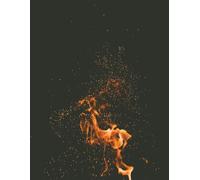 Lined Blank Notebook: Lined Structured Blank Notebook - 120 Pages, 8.5 x 11 inches (21.6 x 27.9 cm), Task Management, Project Tracking, Fitness & Diet Journal, Daily Reflection Log