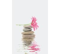 Lined Journal Notebook For Women, Men, And Children: 140 Pages, College Ruled For Work, School Or Diary, Inspirational Quotes And Zen Inspired Background Images