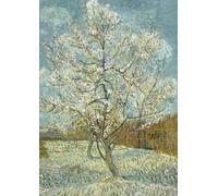 Lined Notebook - Van Gogh: Exercise book with maxi thickness, A4 size, 150 pages. Glossy and flexible cover with illustration. Perfect for school, university, and free time.