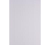 Linenenarbter Cardboard Din A4 Clair Telephone 270 g / m² Testo e copertura bianco 2726 (100 pezzi) NEW