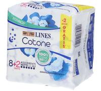 LINES COTONE BIO ULTRA NTT 10P