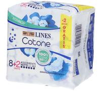 LINES COTONE BIO ULTRA NTT 10P