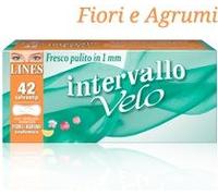 12 Conf.(504 Proteggi Slip) Lines Intervallo Velo FRESH Distesi Essenza Floreale