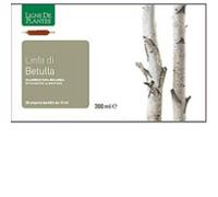 BETULLA LINFA BIO 20AB 15ML