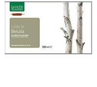 LINFA BETULLA BIO 20 AMPOLLE BEVIBILI 15 ML