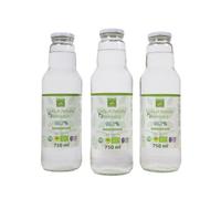 Linfa di Betulla Biologica - Diuretica e drenante - 3 x 750 ml