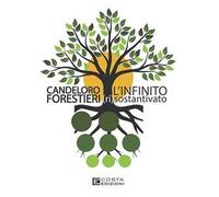 L'infinito (ri)sostantivato