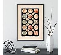 Ling88 Poster da Parete Microbiologia Batteri Microbo Stampa Artistica Old Medicine Poster Science Wall Art Pictures Canvas Painting Biology Study Office Decor Poster E Stampe - 50X70Cm