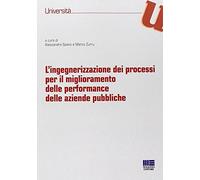 L'ingegnerizzazione dei processi per il miglioramento delle performance delle aziende pubbliche