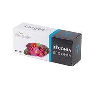 Lingot® Begonia - Compatibile con Orto da interni autentico® ed Exky® - Ricarica pronta all'uso - Substrato con semi incorporati..