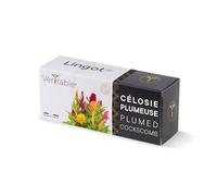 Lingot® Celosia Piumata - compatibile con gli orti interni Véritable® ed Exky® - Ricarica pronta all'uso - Substrato con Semi Integrati