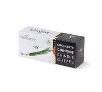 Lingot® Erba cipollina cinese BIO - Compatibile con Orti Interni Véritable® ed Exky® - Ricarica pronta all'uso - Substrato con Semi Integrati