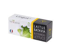 Lingot® Lattuga Batavia BIO - Compatibile con Orti Interni Véritable® ed Exky® - Ricarica pronta all'uso - Substrato con Semi Integrati