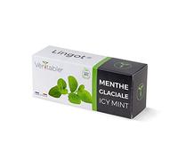 Véritable Lingot® Menta glaciale BIO - Compatibile con Orti Interni Exky® - Ricarica pronta all'Uso - Substrato con Semi Integrati