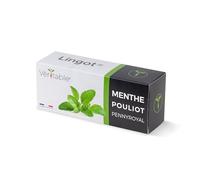 Lingot® Menta Romana - Compatibile con Orti Interni Véritable® ed Exky® - Ricarica pronta all'uso - Substrato con Semi Integrati