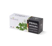 Véritable Lingot® Mitsuba - Compatibile con Orti Interni Exky® - Ricarica pronta all'Uso - Substrato con Semi Integrati