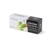 Lingot Senape Wasabi Bio - Compatibile con Orto da interni Autentico ed Exky - Ricarica pronta all'uso - Substrato con Semi Integrati..