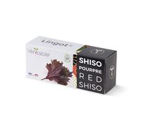 Lingot® Shiso rosso BIO - Compatibile con Orti Interni Véritable® ed Exky® - Ricarica pronta all'uso - Substrato con Semi Integrati