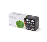 Lingot® Shiso verde BIO - Compatibile con Orti Interni Véritable® ed Exky® - Ricarica pronta all'uso - Substrato con Semi Integrati