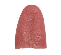 Lingua Finta Elastica - Giocattolo Scherzo Con Lingua Artificiale | Lingua Finta Elastica | Lingua Giocattolo Fanelod | Orribili Scherzi Grossolani Di Halloween Scherzi | Puntelli Di Scherzo Con La Li