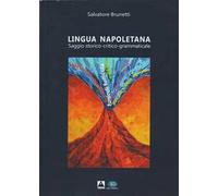 Lingua napoletana. Saggio storico-critico-grammaticale