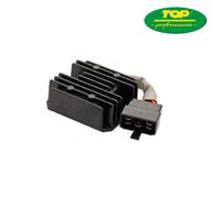 LINHAI LH T Monarch 125 REGOLATORE