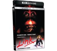 Link (4KUHD) [4K UHD]