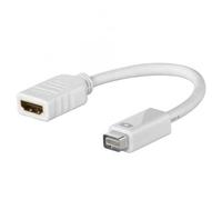 LINK - Adattatore Mini Dvi Maschio - Hdmi Femmina