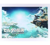 Link The Legend of Zelda Tears of The Kingdom Cartolina Nintendo dal Giappone...
