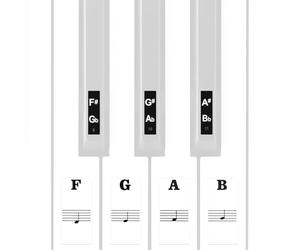 Linkidea adesivi per tastiera di pianoforte per tastiere e tastiere acustiche e digitali a 88/61/54 tasti (nero bianco)