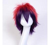 LINLINCD Cosplay wig 30 cm multi-colore short fluffy layered No Game No Life Sora Synthetic Wig Cosplay Costume Wig heat resistance fiber As the picture