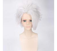 LINLINCD Cosplay wig anime BLEACH Hitsugaya Toushirou Parrucca corta argento bianco Cosplay costume capelli sintetici resistenti al calore uomo Cosplay parrucche