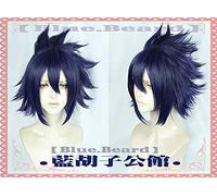 LINLINCD -ig anime cosplay () My Heroes Academy Tianzhu Luan Blue Purple Fonds COS Animation Edition