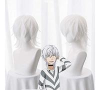 LINLINCD -ime Coser Wig Toaru Majutsu senza indici Accelerator Parrucca Cosplay per uomo ragazzo 30 cm capelli sintetici resistenti al calore bianco corto anime WIME + parrucca
