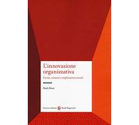 L' innovazione organizzativa. Forme, contesti e implicazioni sociali