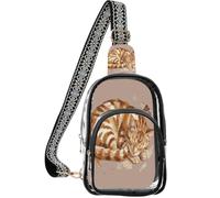 linqin Borsa trasparente da donna con tasca frontale con cerniera | Cerniera in metallo, conforme alle regole di sicurezza, compatto ed elegante, gatto soriano arancione addormentato