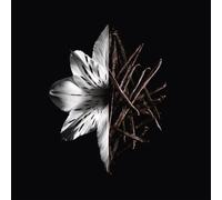 LInterdit Eau de Parfum Intense