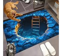 Liocwocne 2026 New Optical Illusion Rug, 3d Rugs Illusion, Rug That Looks Like A Hole for Indoor and Outdoor Entrance, Startled Cats and Dogs, They Backed Away(A,60 * 90cm)
