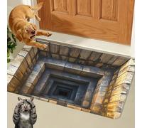 Liocwocne 2026 New Optical Illusion Rug, 3d Rugs Illusion, Rug That Looks Like A Hole for Indoor and Outdoor Entrance, Startled Cats and Dogs, They Backed Away(L,50 * 80cm)