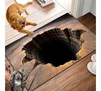 Liocwocne 2026 New Optical Illusion Rug, 3d Rugs Illusion, Rug That Looks Like A Hole for Indoor and Outdoor Entrance, Startled Cats and Dogs, They Backed Away(M,50 * 80cm)