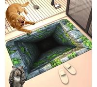 Liocwocne 2026 New Optical Illusion Rug, 3d Rugs Illusion, Rug That Looks Like A Hole for Indoor and Outdoor Entrance, Startled Cats and Dogs, They Backed Away(F,60 * 90cm)