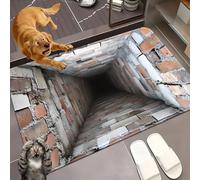 Liocwocne 2026 New Optical Illusion Rug, 3d Rugs Illusion, Rug That Looks Like A Hole for Indoor and Outdoor Entrance, Startled Cats and Dogs, They Backed Away(K,50 * 80cm)