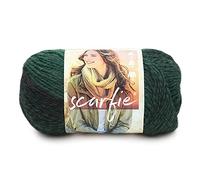 Lion Brand Filato SCARFIE Acrilico/Lana Forest/Nero 285 unità