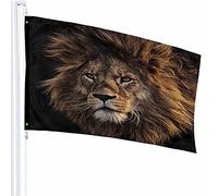 Lion Flag Decor 3x5 Ft Mane Predator Animal Cool Wildlife Furry King Face Head Foresta Poliestere Motivo stampato Decorazioni per esterni per case e giardini