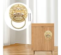 Lion Head Door Knocker Decoration Design retrò per guardaroba