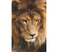 Lion Notebook: Blank Lined Notebook for All ages, Lion, Wildlife | 6x9 inches, 110 pages | Gifts for Birthdays, Christmas, Thanksgiving and more